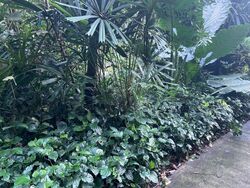 Duchess Avenue (D10), Detached #496788671